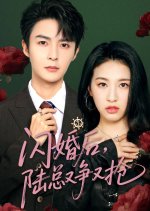 閃婚后陸總又爭又搶(全集)