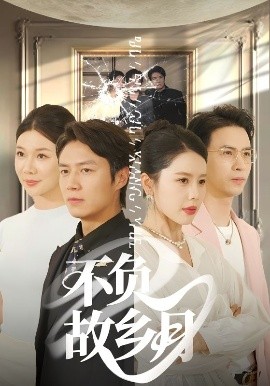 不負故鄉(xiāng)月(全集)