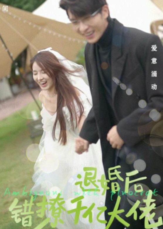 退婚后，錯撩千億大佬(全集)