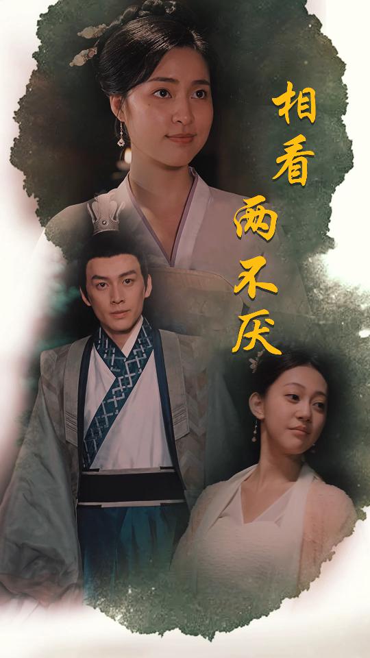 相看兩不厭&這個王妃不好惹(全集)