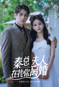秦總，夫人在找你離婚(全集)