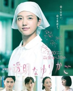 透明的搖籃(全集)