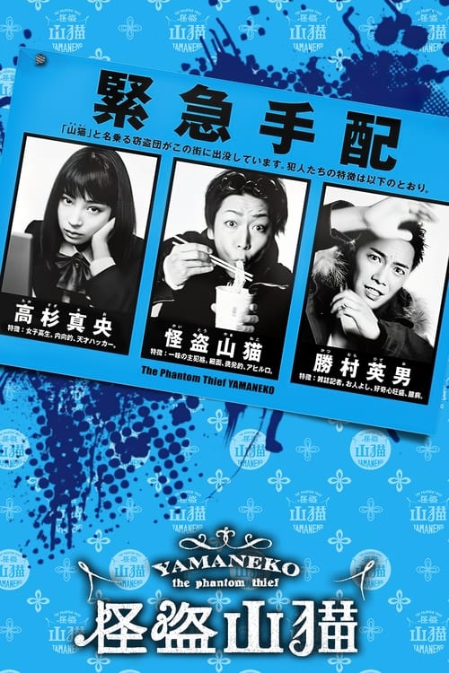 怪盜山貓(全集)