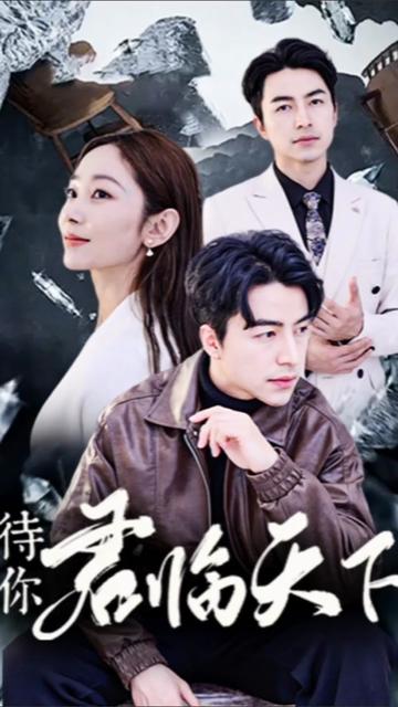 待你君臨天下(全集)