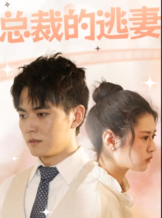 總裁的逃妻(全集)