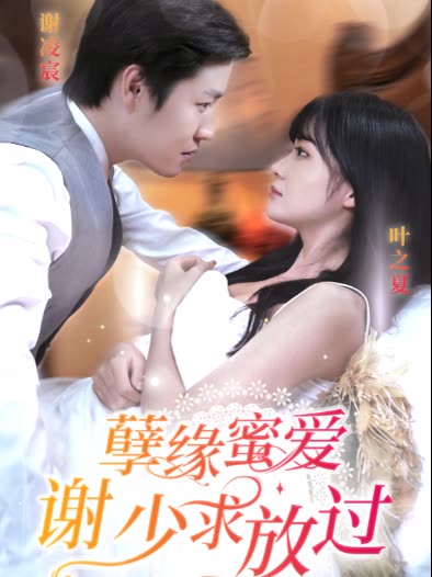孽緣蜜愛謝少求放過(全集)