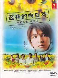 遲開的向日葵(全集)