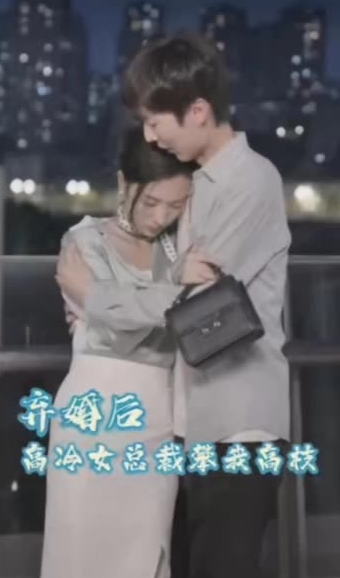 棄婚后，高冷女總裁攀我高枝(全集)