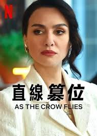 直線篡位(全集)