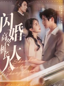 閃婚高冷機長大人(全集)