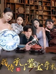 我傳承了鑒寶奇術(shù)(全集)