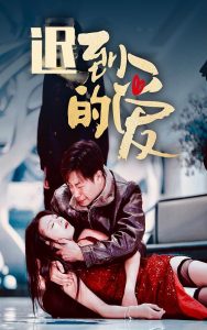 遲到的愛35集(全集)