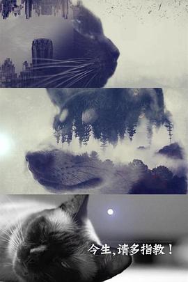今生，請多指教(全集)