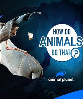 動物奇門功夫第二季(全集)