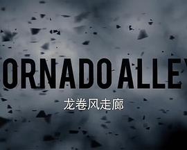 龍卷風(fēng)走廊第二季(全集)