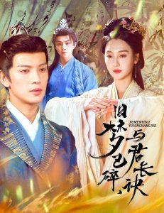 舊夢已碎，與君長訣＆終是深情錯付君(全集)