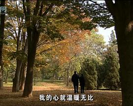花落時節(jié)