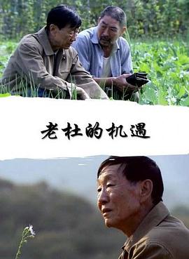 老杜的機(jī)遇