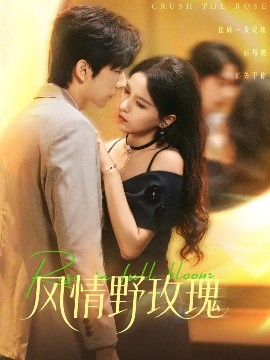 風情野玫瑰 揉碎玫瑰(全集)